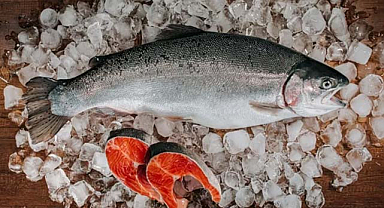 Doğu Karadeniz'in somon ihracatı yüzde 41 arttı
