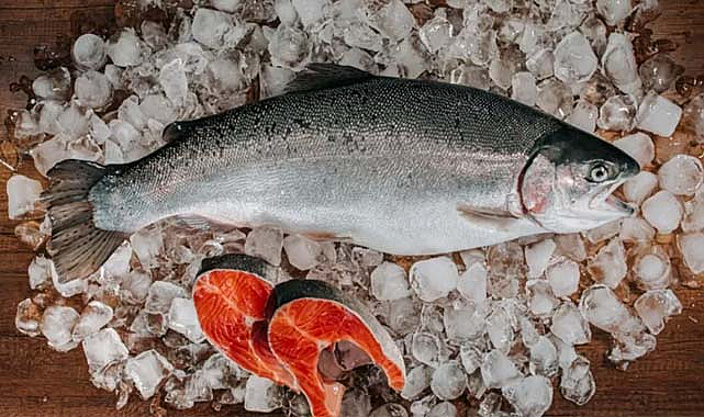 Doğu Karadeniz'in somon ihracatı yüzde 41 arttı