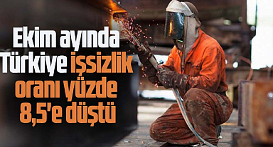 Ekim ayında Türkiye işsizlik oranı yüzde 8,5'e düştü