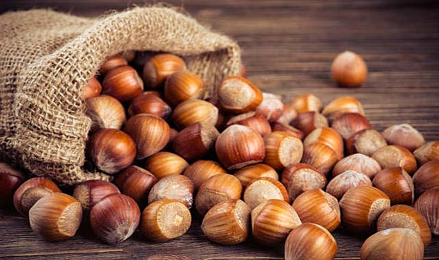 Fındık fiyatları çakıldı! Samsun’da fiyatlar ne kadar?