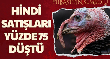 Hindi satışları yüzde 75 düştü