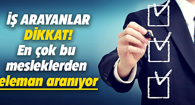 İş arayanlar dikkat! En çok bu mesleklerden eleman aranıyor
