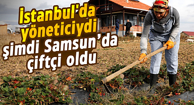 İstanbul'da yöneticiydi şimdi Samsun’da çiftçi oldu