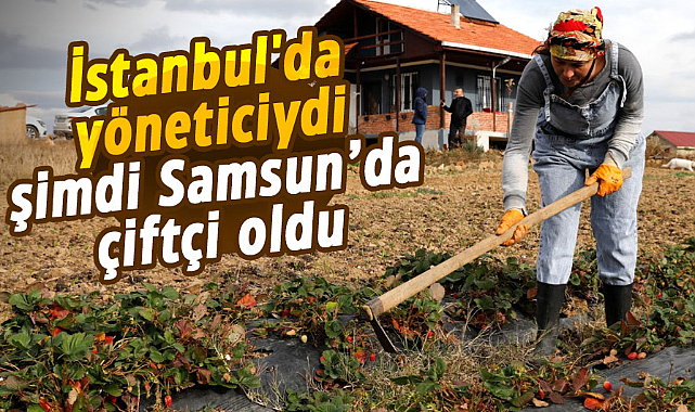 İstanbul'da yöneticiydi şimdi Samsun’da çiftçi oldu