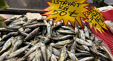 İstavrit tezgahlarda yerini aldı