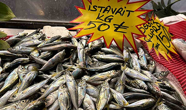 İstavrit tezgahlarda yerini aldı