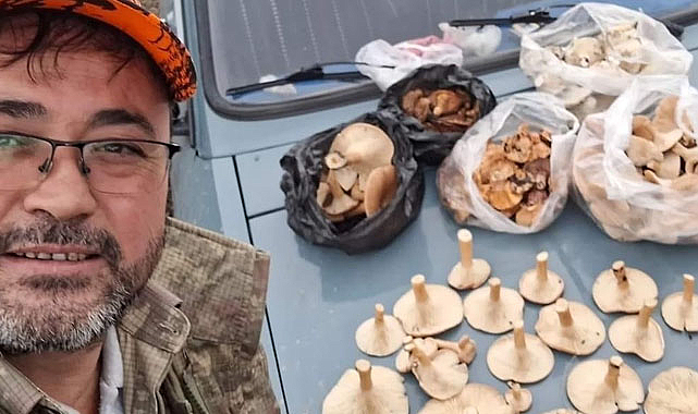 Köylülerin yeni geçim kaynağı kanlıca mantarı