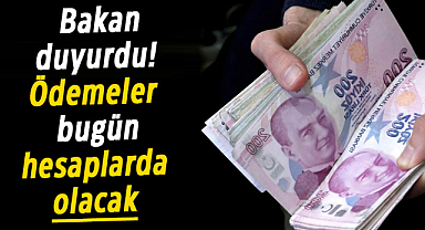Ödemeler hesaplara yatacak! Bakan duyurdu