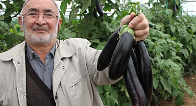 Patlıcan fiyatları havada uçuyor