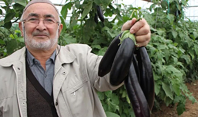 Patlıcan fiyatları havada uçuyor