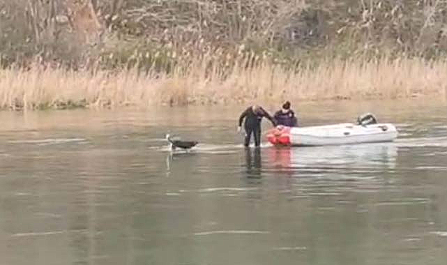Samsun Bafra'da mahsur kalan köpek kurtarıldı