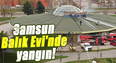 Samsun Balık Evi'nde yangın!