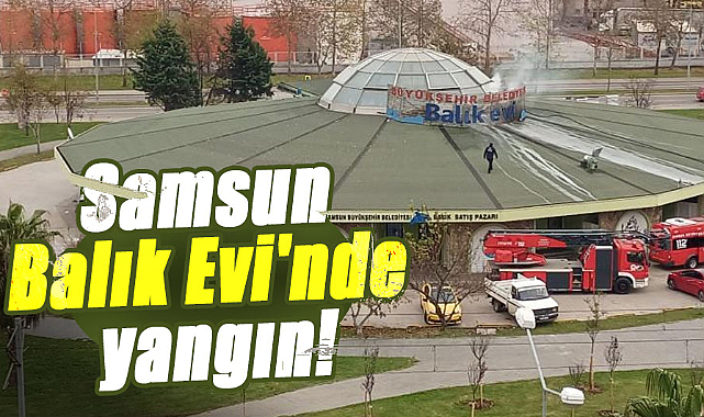 Samsun Balık Evi'nde yangın!