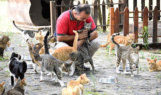 Samsun'da 30 binden fazla hayvan tedavi edildi