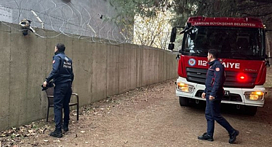 Samsun'da askeri alanda tellere takılan kedi kurtarıldı