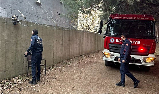 Samsun'da askeri alanda tellere takılan kedi kurtarıldı