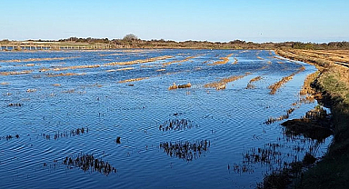 Samsun'da fırtına! Sular altında kaldı