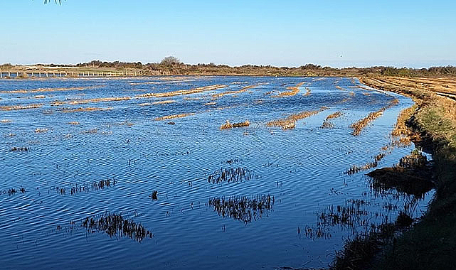 Samsun'da fırtına! Sular altında kaldı