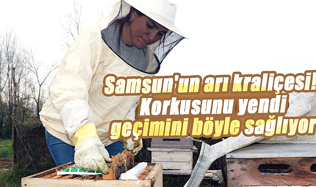 Samsun’da Gülcan Güntepe arı korkusunu yenip arıcılıkla geçim sağlıyor