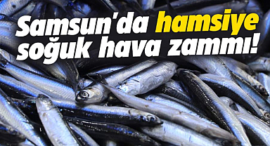 Samsun'da hamsiye soğuk hava zammı!