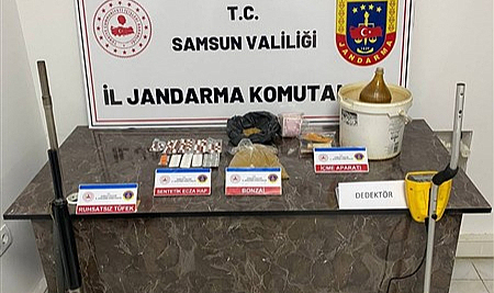 Samsun'da jandarma bonzai ele geçirdi