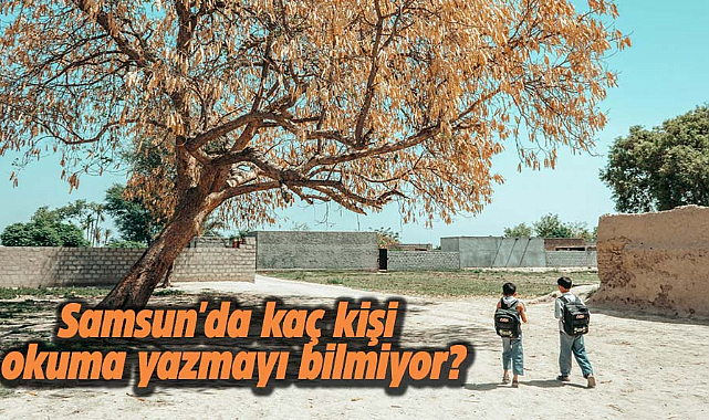 Samsun'da kaç kişi okuma yazmayı bilmiyor?