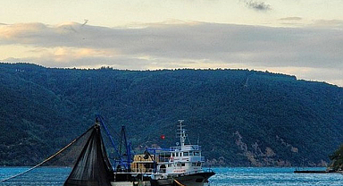 Samsun'da kaçak avcılara ceza!