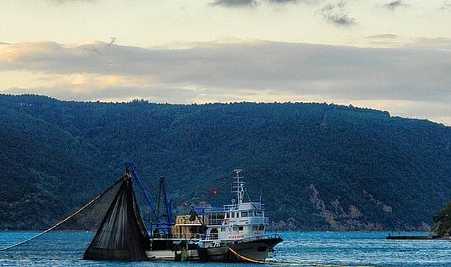 Samsun'da kaçak avcılara ceza!
