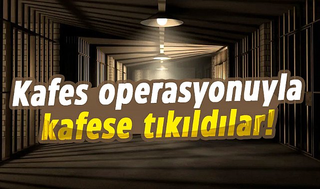 Samsun'da "Kafes" operasyonunda tutuklama