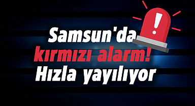 Samsun'da kırmızı alarm! Hızla yayılıyor