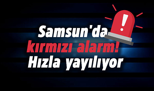 Samsun'da kırmızı alarm! Hızla yayılıyor