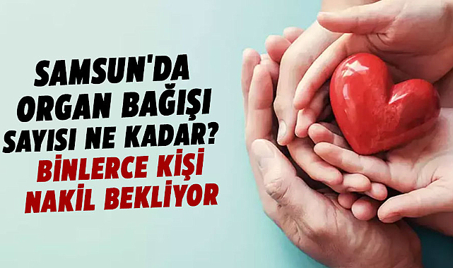 Samsun'da organ bağışı sayısı ne kadar? Binlerce kişi nakil bekliyor