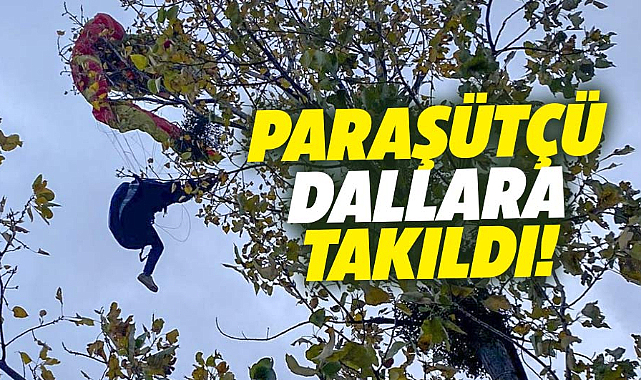 Samsun'da şok olay! Paraşütçü ağaç dallarına takıldı!