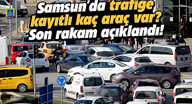 Samsun'da trafiğe kayıtlı kaç araç var?