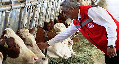 Samsun'dan 6'ncı Avrupa süt ihracat işletmesi