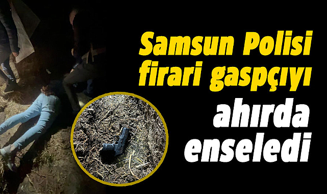 Samsun Polisi firari gaspçıyı ahırda enseledi