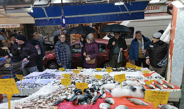 Samsun'da hamsi 25 TL'ye kadar düştü!
