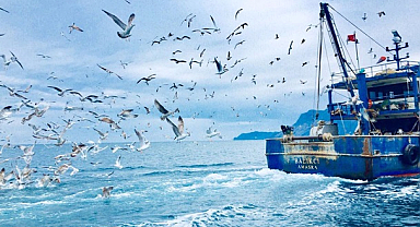 Samsunlu balıkçılar bedava hamsi dağıttı