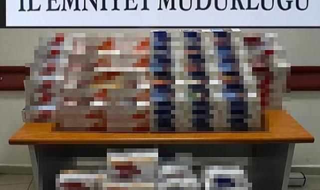 Sinop'ta 45 bin 600 makaron ele geçirildi: 1 gözaltı