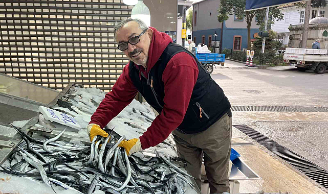 Sinop'ta fosfor kaynağı zargananın kilosu 150 lira