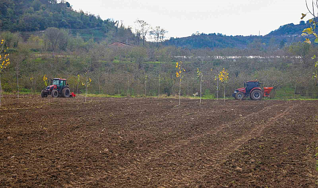 Ordu'da çiftçilere tohum desteği sağlanıyor