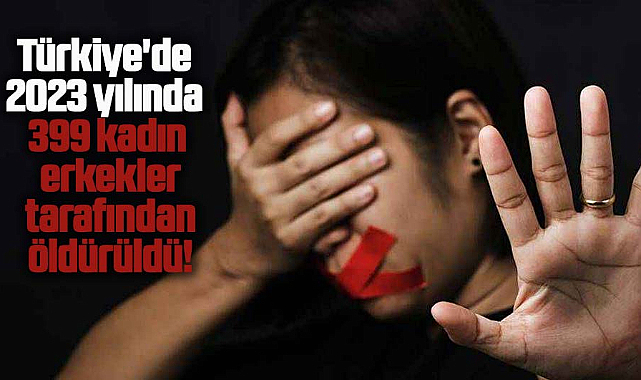 Türkiye'de 2023 yılında 399 kadın erkekler tarafından öldürüldü!