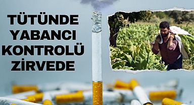 Tütünde yabancı kontrolü yüzde 92'ye çıktı