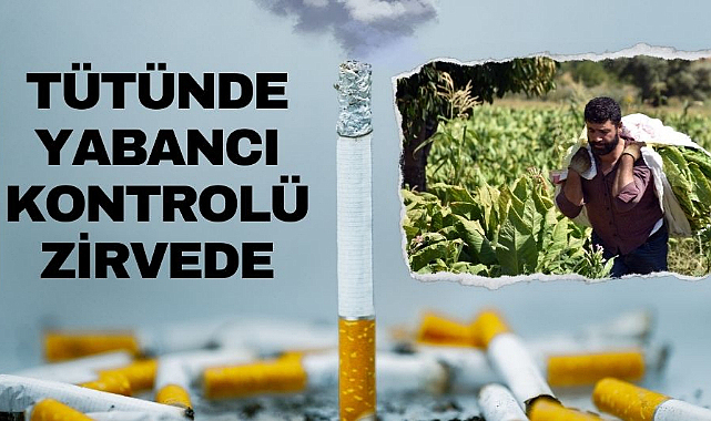 Tütünde yabancı kontrolü yüzde 92'ye çıktı