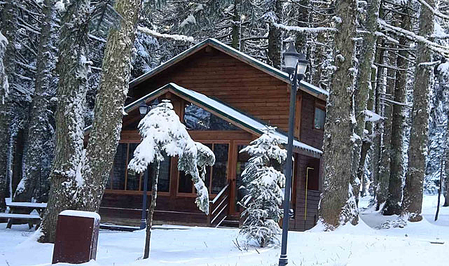 Uludağ’da Orman Evleri’ne büyük ilgi 