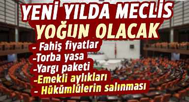 Yeni yılda Meclis yoğun olacak
