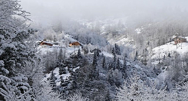 Artvin'de 40 köye ulaşım sağlanamıyor