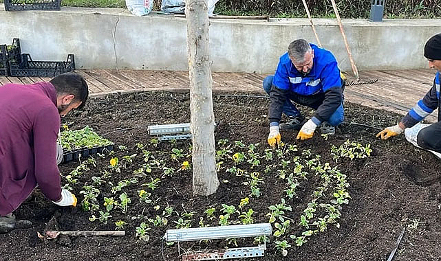 Atakum, artan yeşil alanlarıyla parlıyor