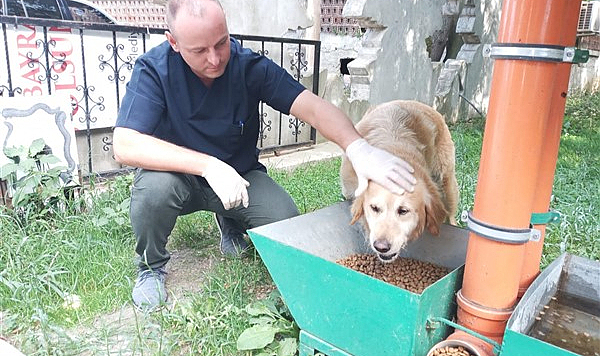 Atakum Belediyesi'nden patili dostlara destek