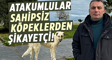 Atakumlular sahipsiz köpeklerden şikayetçi!